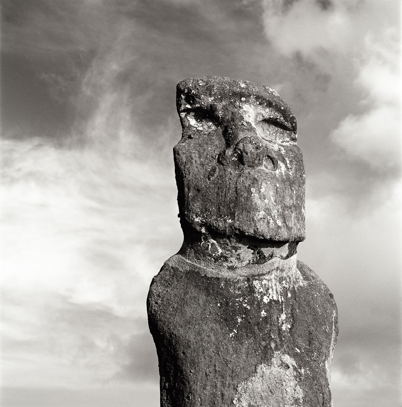 200415web-059-moai-portait-1